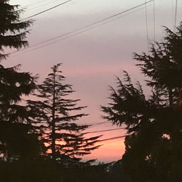 Welcome to my Closet/Boutique - Picture 2 of 4